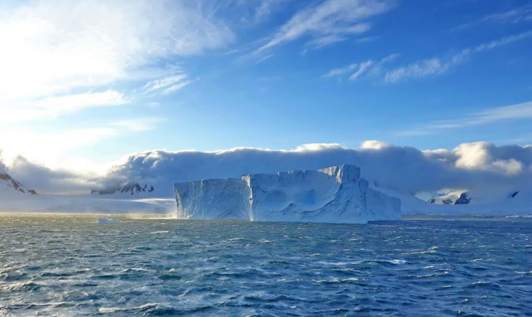 Mercury, tramadol, industrial chemicals and even caffeine: scientists presented the results of the analysis of the pollutants concentrations in the flora and fauna of Antarctica