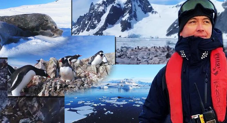 Пінгвіни, урагани та купання у крижаній воді: як живе чернігівець в Антарктиді