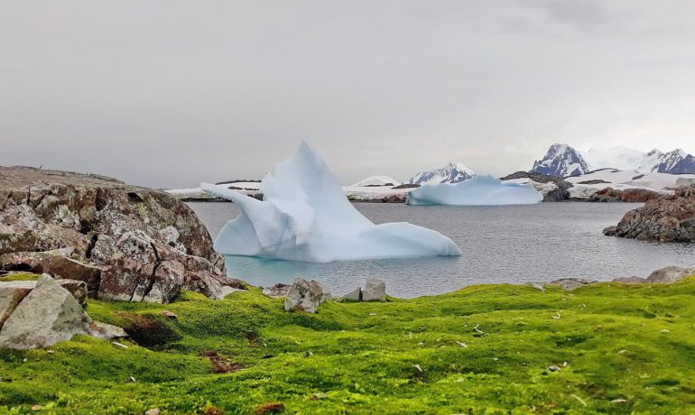+12,7 С° в Антарктиді – новий температурний рекорд на станції «Академік Вернадський»