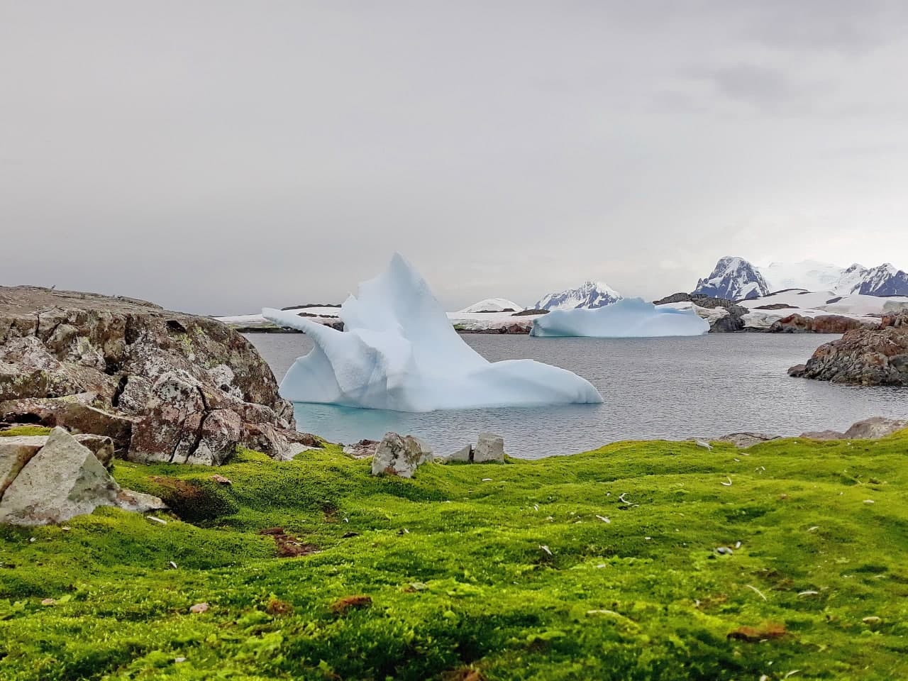 +12,7 С° в Антарктиді – новий температурний рекорд на станції «Академік Вернадський»