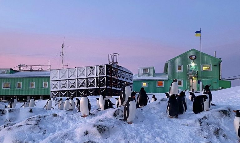 Сучукрліт в Антарктиці: як на станції «Академік Вернадський» оновили бібліотеку