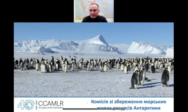 НАНЦ провів тренінг для дипломатів про національні інтереси України в Антарктиді