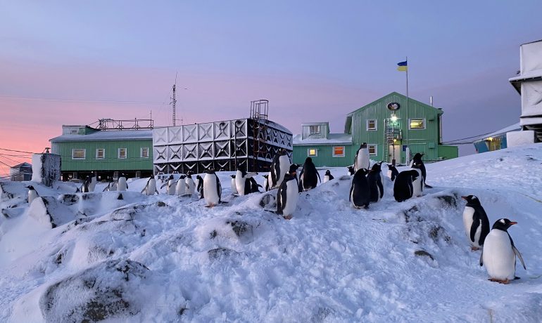Експедиція на той бік Землі. Як українські полярники під час війни потрапляють в Антарктику, а потім рвуться назад — у ЗСУ
