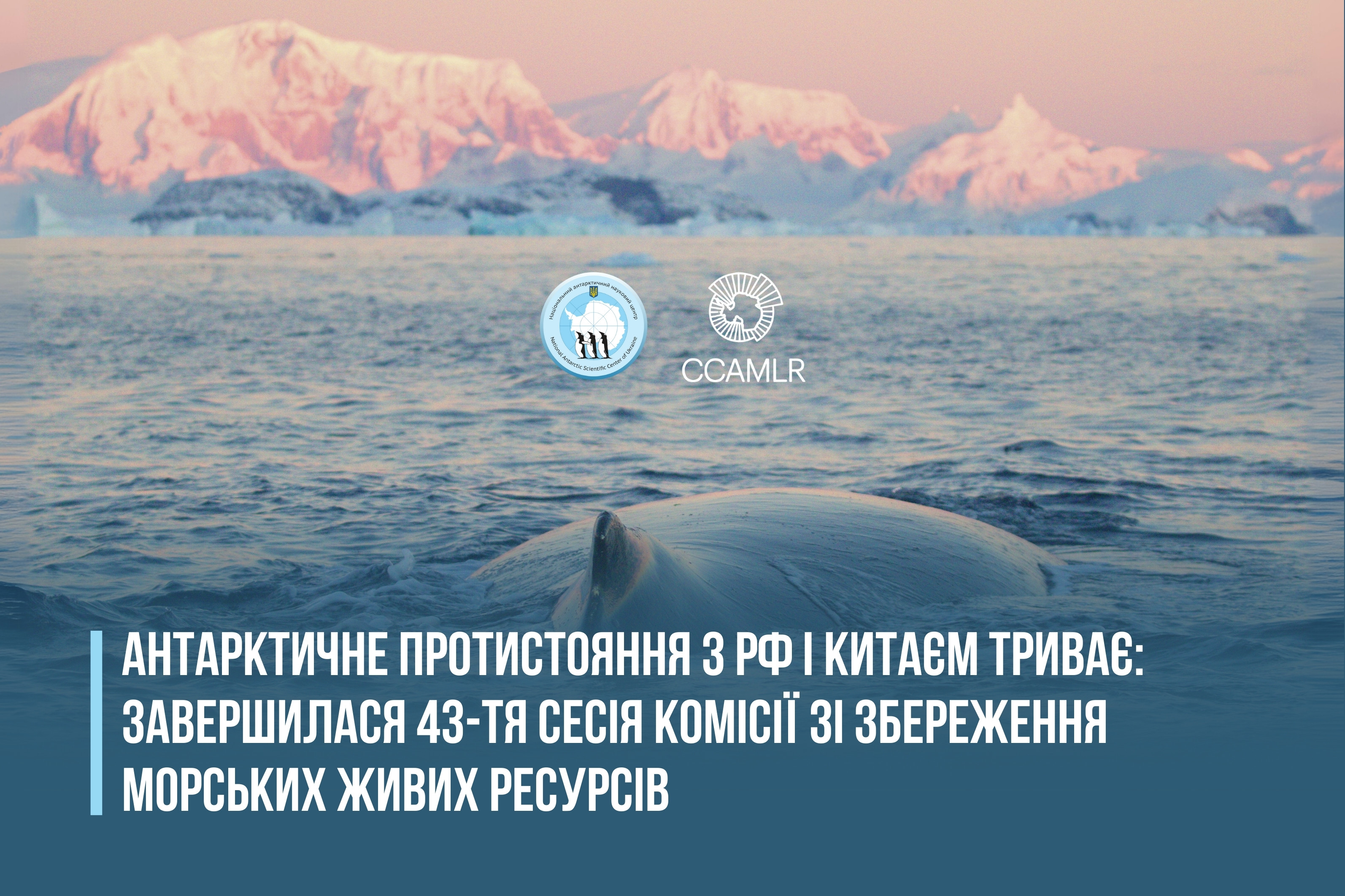 Антарктичне протистояння з рф і Китаєм триває: завершилася 43-тя сесія Комісії зі збереження морських живих ресурсів