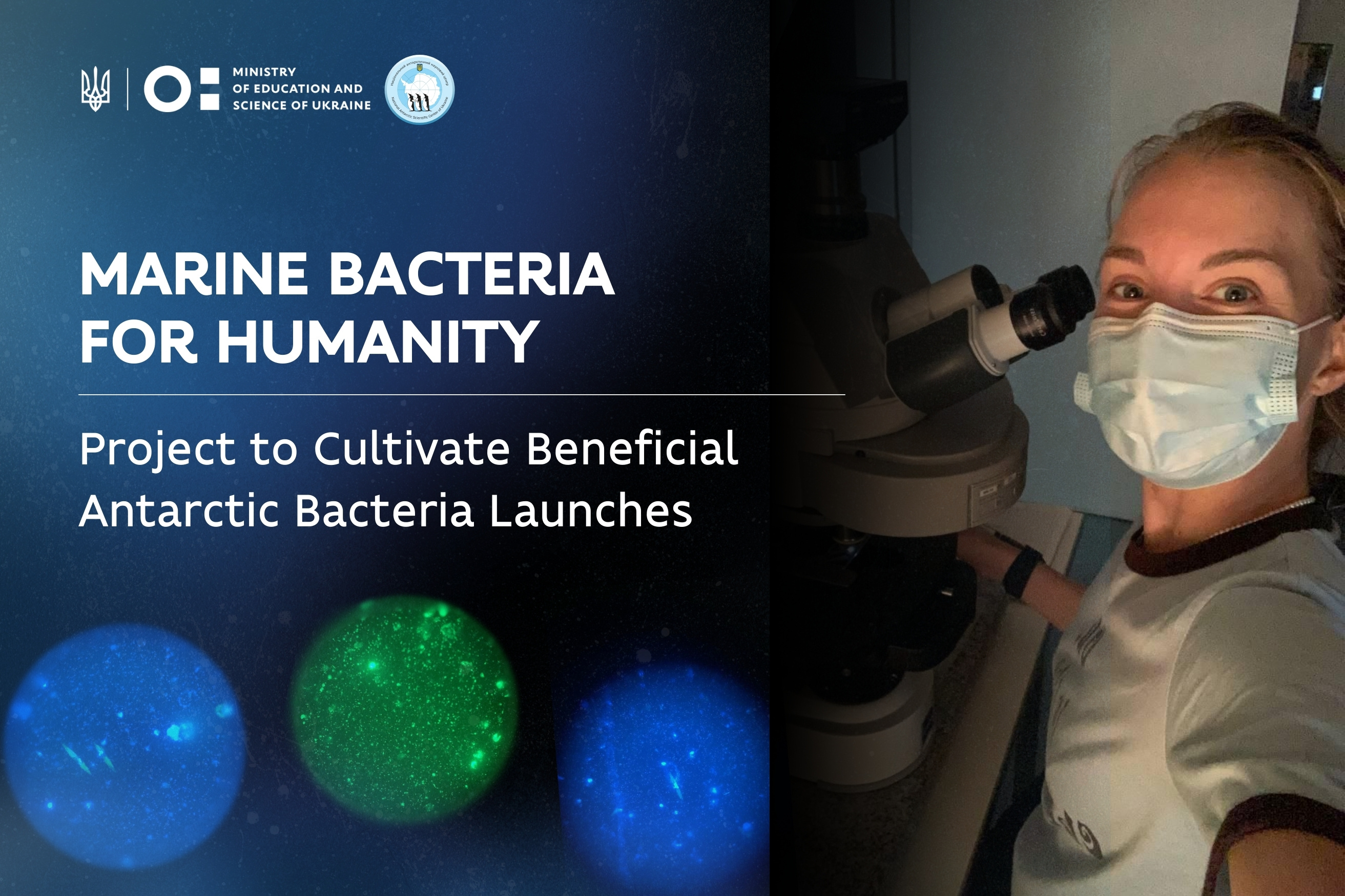 Marine Bacteria for Humanity: Project to Cultivate Beneficial Antarctic Bacteria Launches