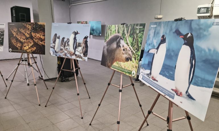 "Our planet is changing at an alarming rate": Ukrainian and Peruvian scientists at the opening of a joint exhibition