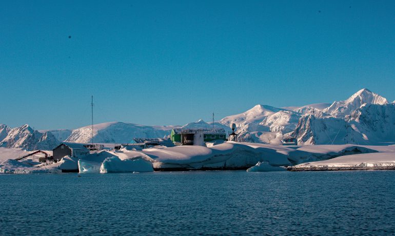 Наука в Антарктиці: що та як там вивчають українці? 