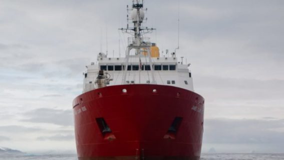 630_360_1629384411-192