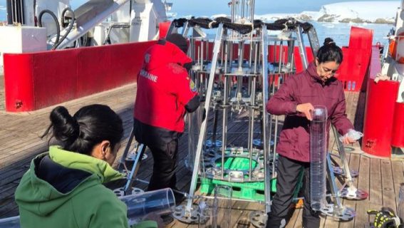 IMG_20251215_101246_342