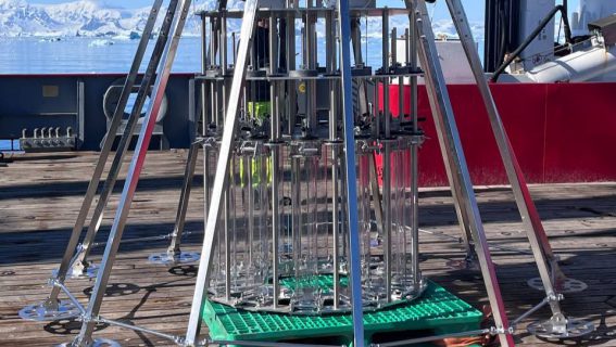 IMG_20251215_101314_194