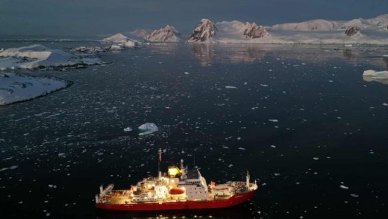 Андрій Старіш