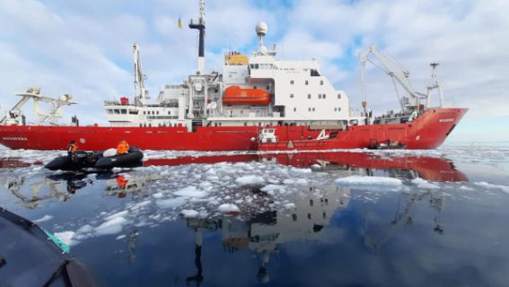 news_1650105061_625a9ae53293f