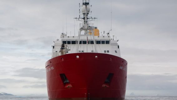 photo_2021-08-19_15-43-50