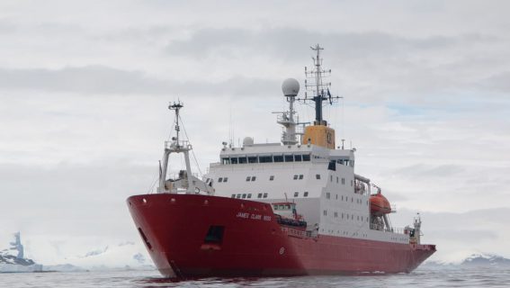 photo_2021-08-19_15-57-26