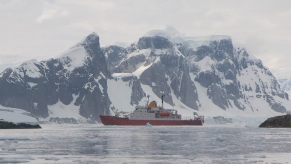 photo_2021-08-19_15-57-49