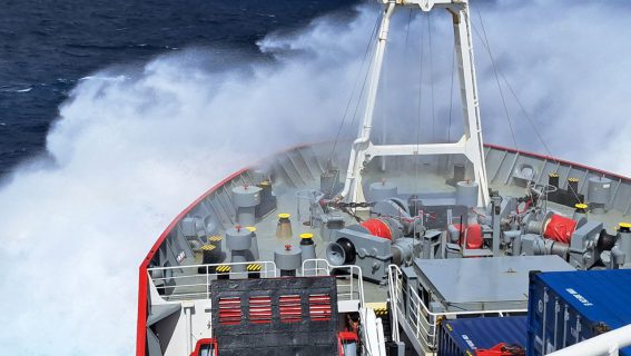 photo_2023-12-06_11-49-18