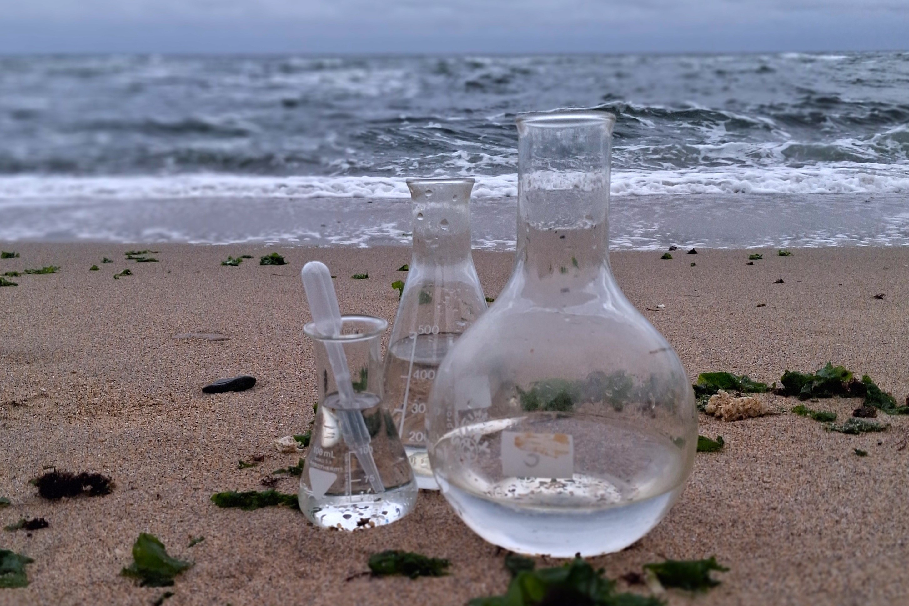 Спільний моніторинг для розуміння стану Чорного моря: вчені та портові фахівці об’єднують зусилля